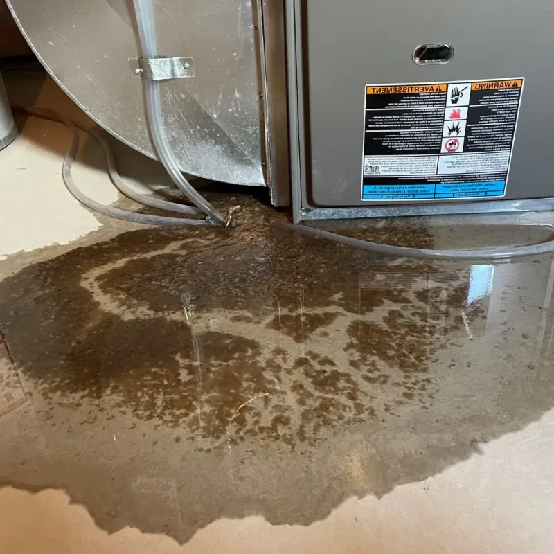 Pipe Burst and Leak Restoration in Cache County, UT