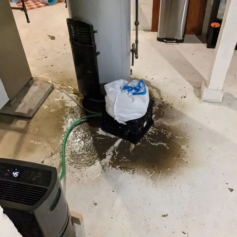 Sewage Backup Cleanup Service in Cache County, UT